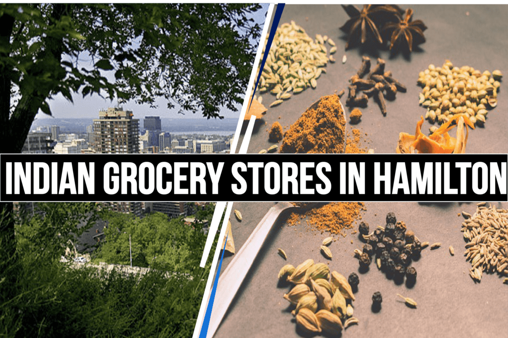 5 Best Indian Grocery Stores in Hamilton
