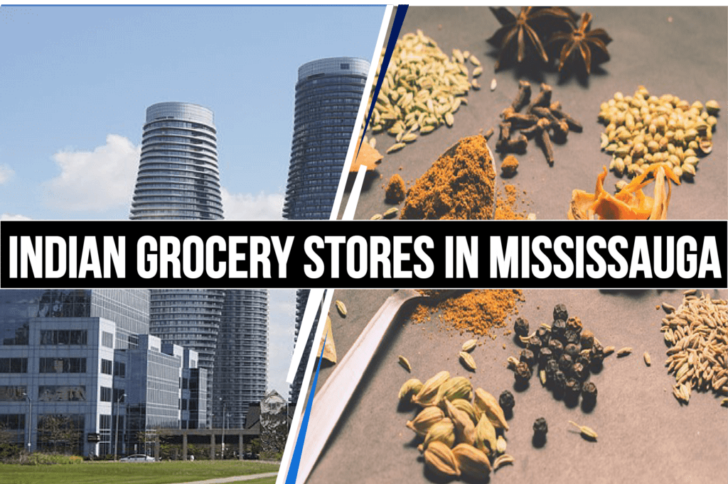 5 Best Indian Grocery Stores in Mississauga