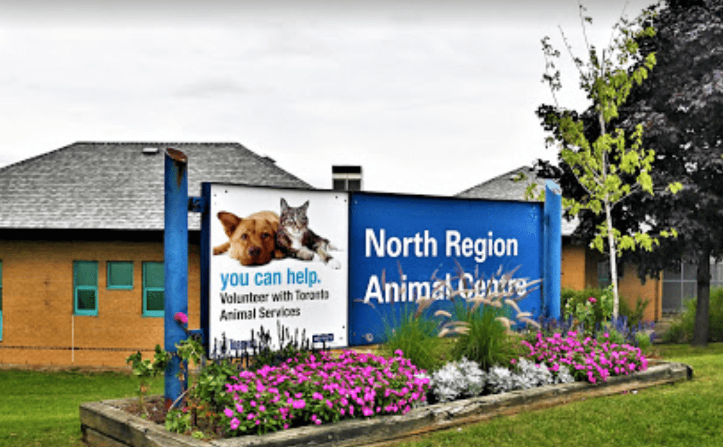 Toronto Animal Services - North Shelter