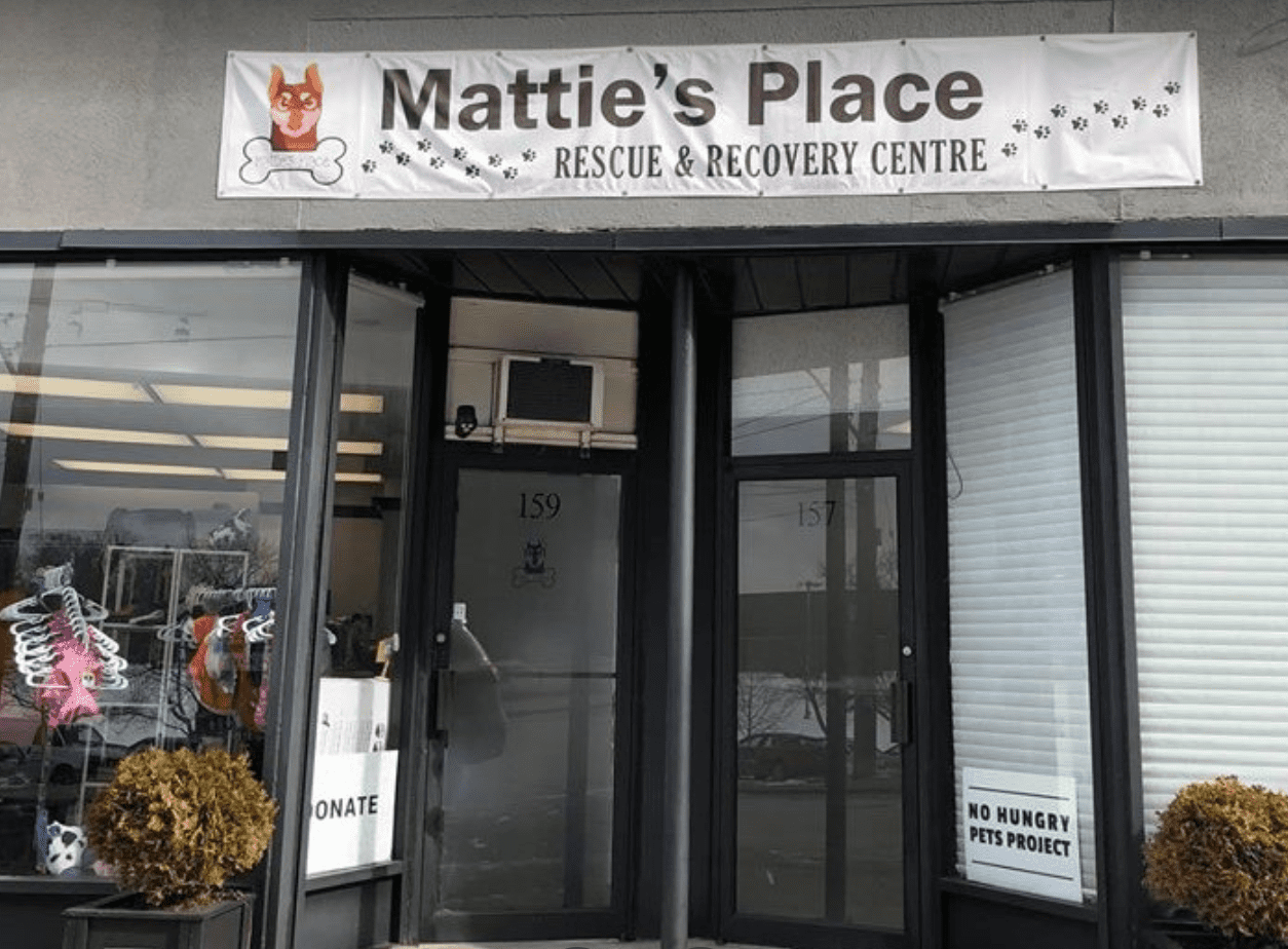 Mattie's Place