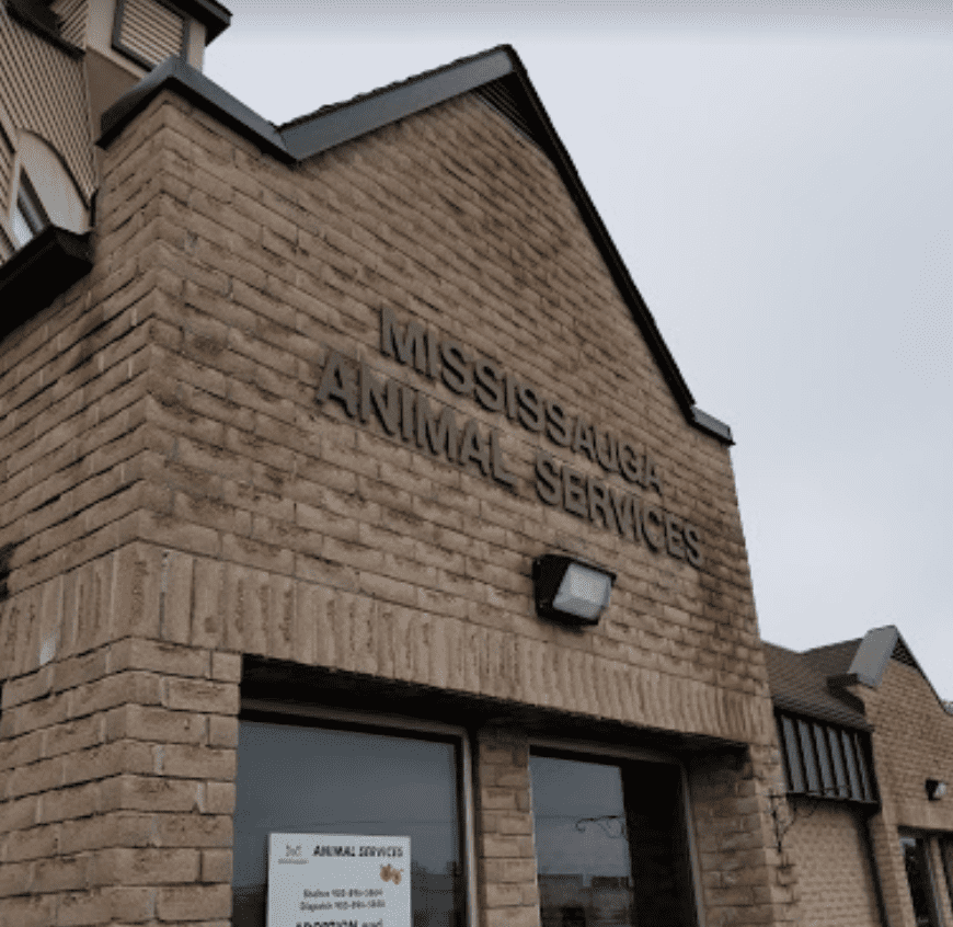 Mississauga Animal Services