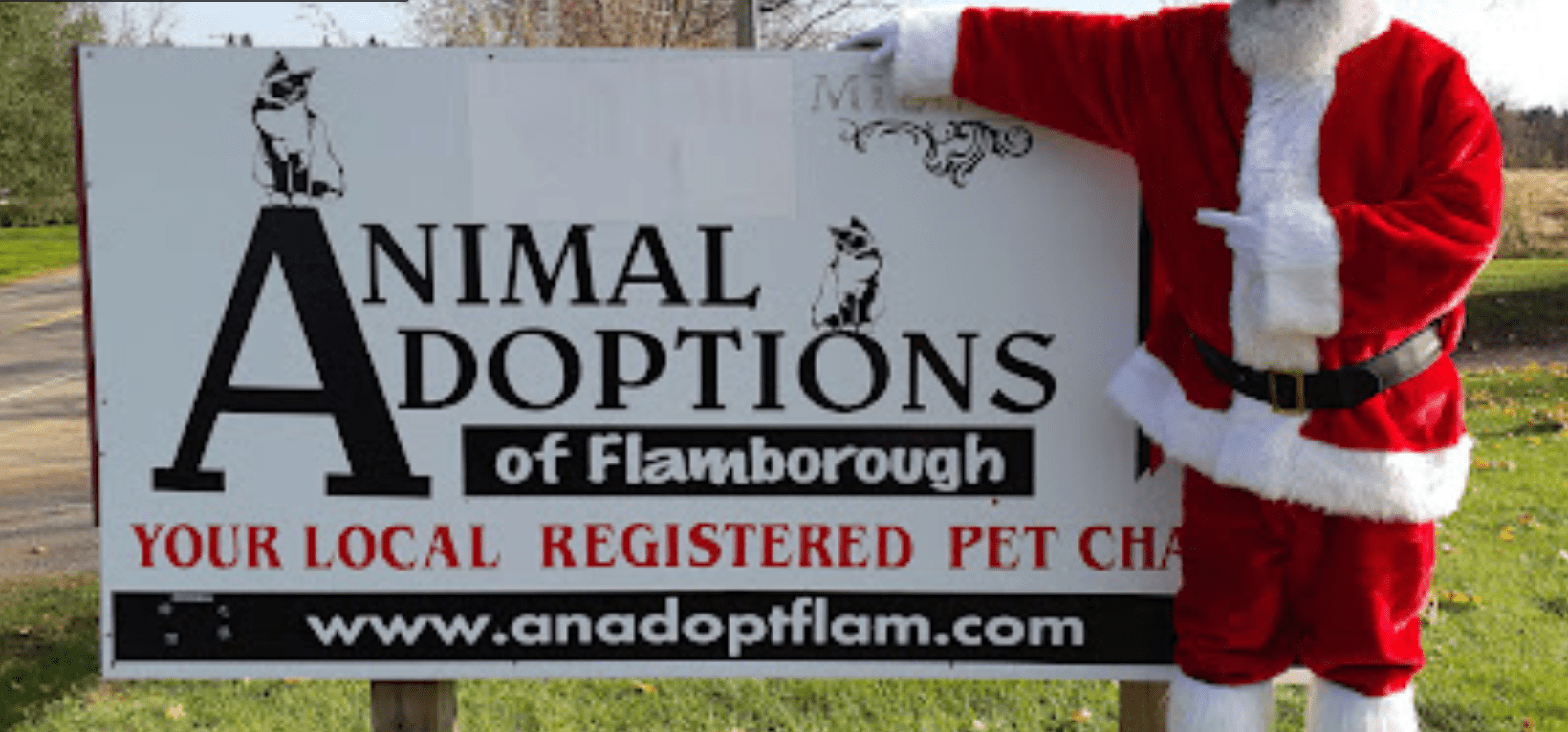Animal Adoptions Of Flamborough