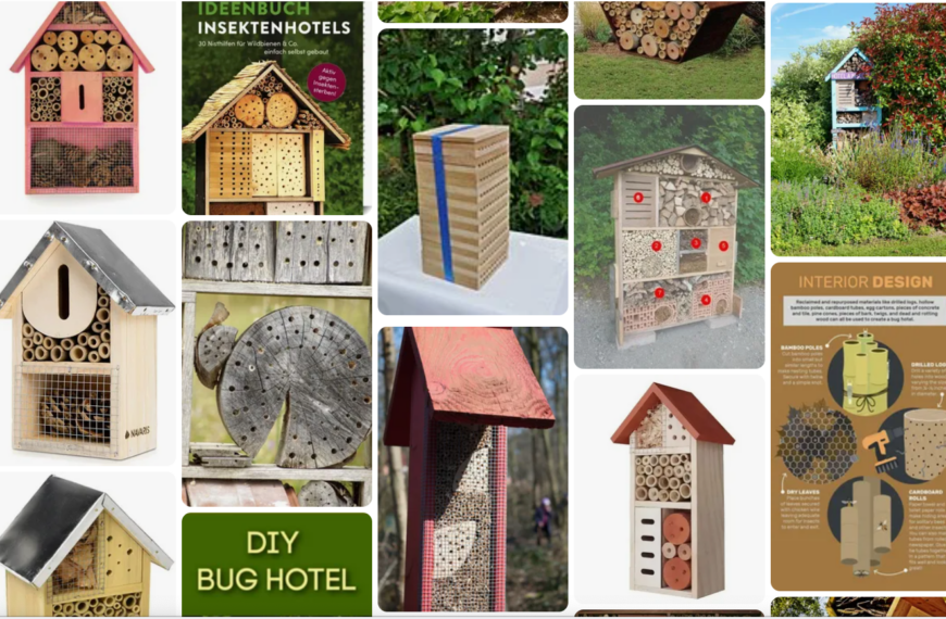 Why insect hotels are important – and how to build insect hotels DIY